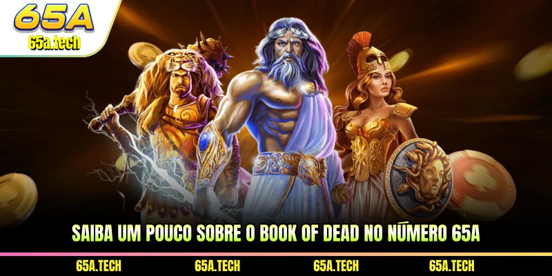 saiba-um-pouco-sobre-o-book-of-dead-no-numero-65a