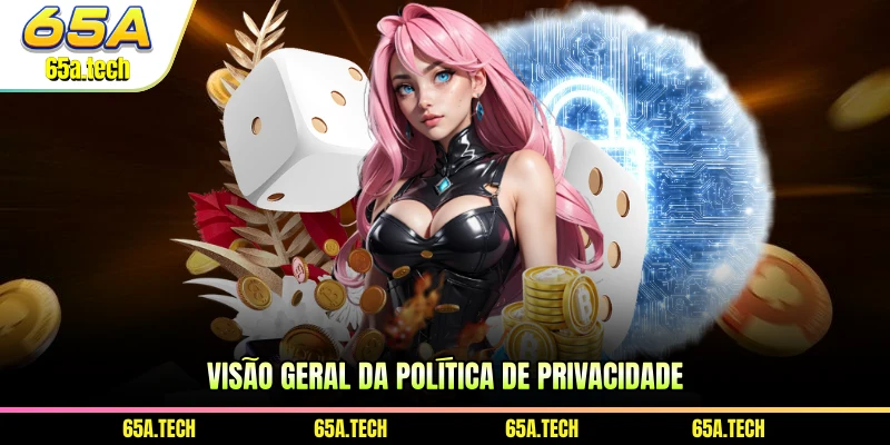 visao-geral-da-politica-de-privacidade